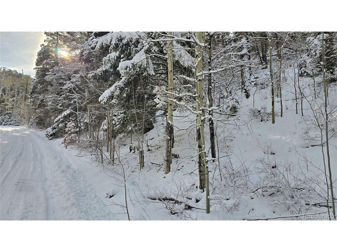 5540 Joy Road Fort Garland, CO 81133 - Photo 12 of 18 a black and white photo of a building