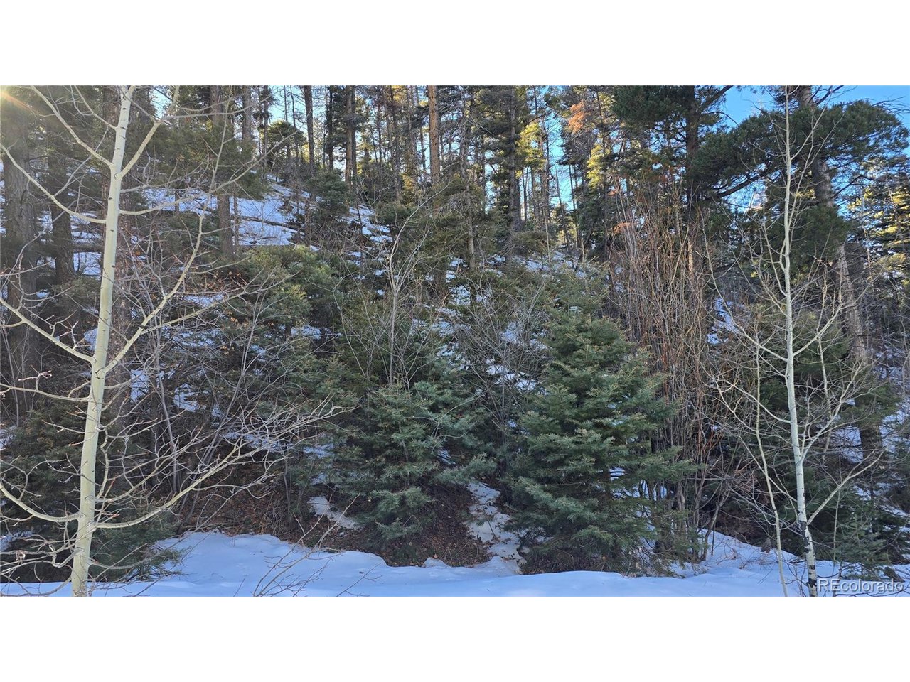 5540 Joy Road Fort Garland, CO 81133 - Photo 13 of 18 a black and white photo of a house