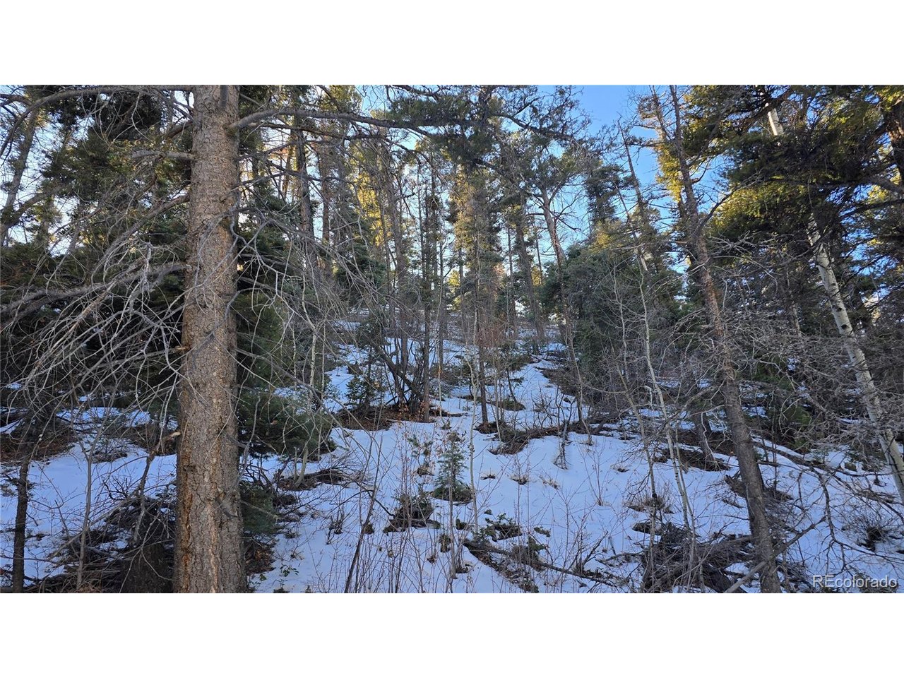 5540 Joy Road Fort Garland, CO 81133 - Photo 14 of 18 a open area