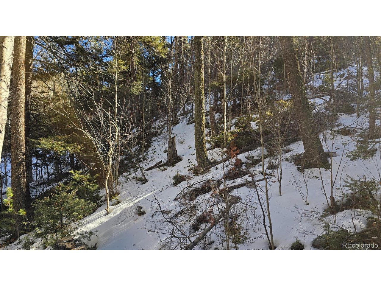 5540 Joy Road Fort Garland, CO 81133 - Photo 16 of 18 a black and white photo of a house