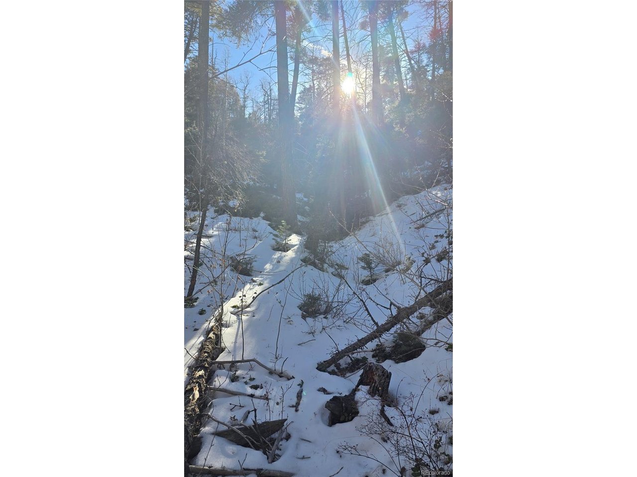 5540 Joy Road Fort Garland, CO 81133 - Photo 17 of 18