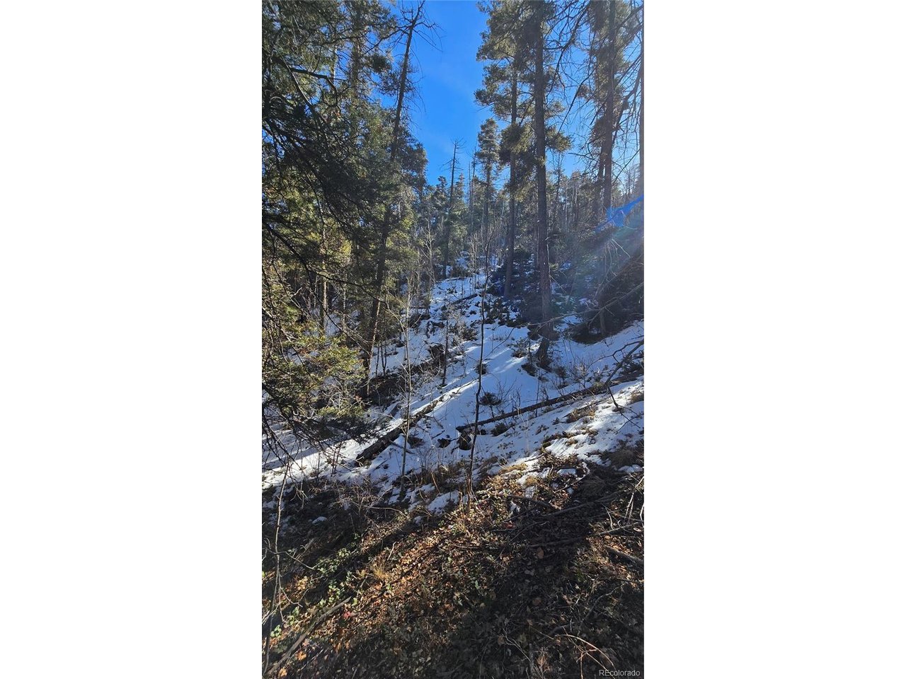 5540 Joy Road Fort Garland, CO 81133 - Photo 18 of 18 a picture of a door of the house