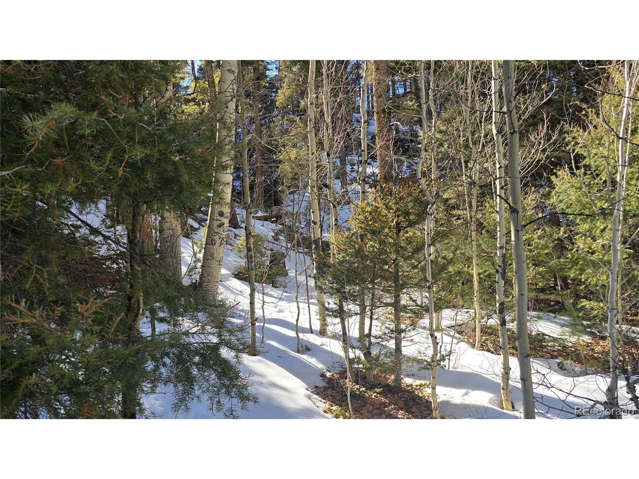 5540 Joy Road Fort Garland, CO 81133 - Photo 2 of 18 a black and white photo of a building