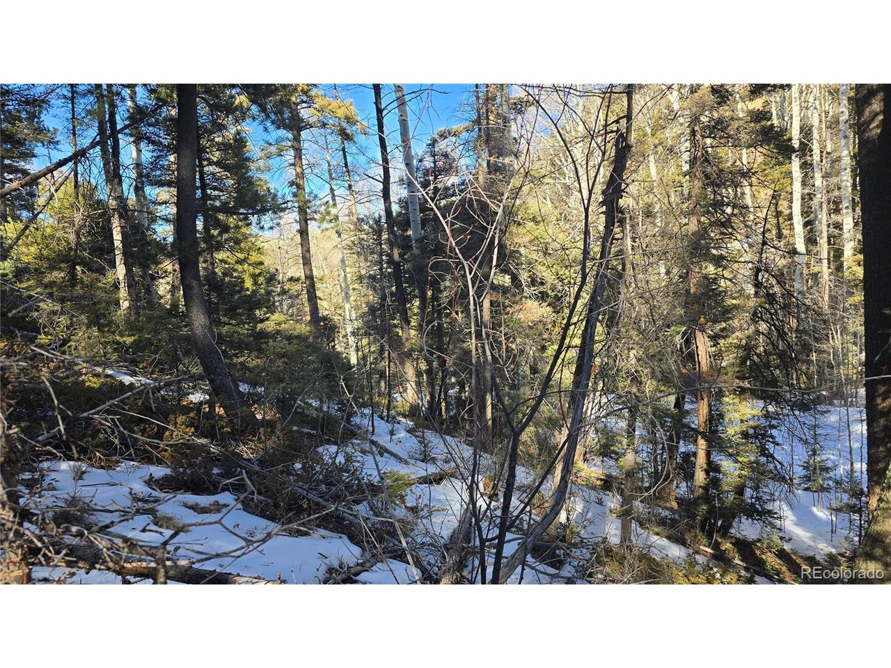 5540 Joy Road Fort Garland, CO 81133 - Photo 3 of 18 a black and white photo of a house