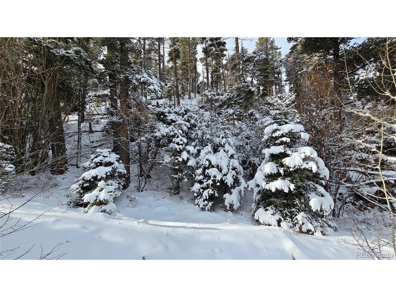 5540 Joy Road Fort Garland, CO 81133 - Photo 4 of 18 a black and white photo of a house