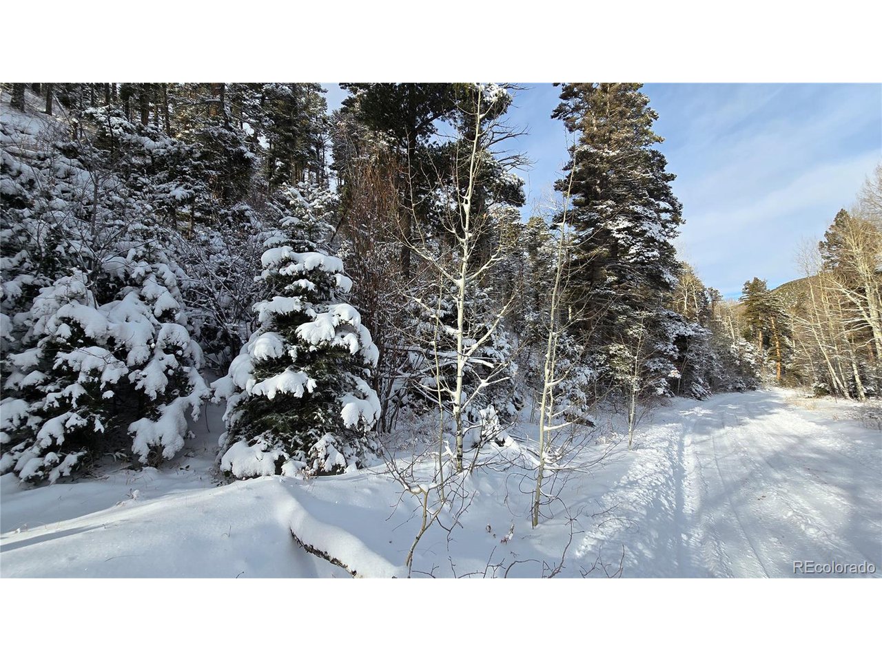 5540 Joy Road Fort Garland, CO 81133 - Photo 5 of 18