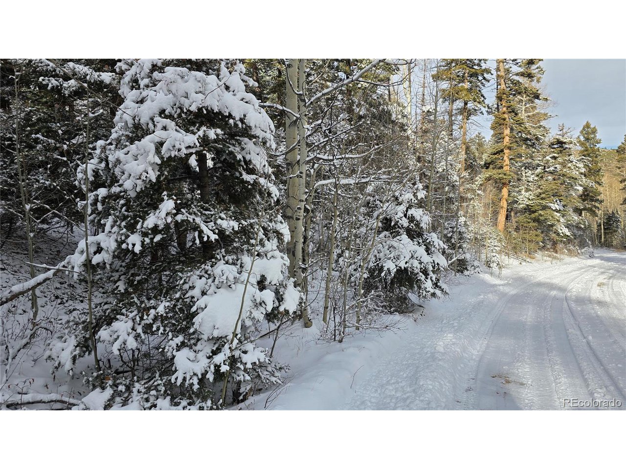 5540 Joy Road Fort Garland, CO 81133 - Photo 7 of 18 a black and white photo of a house