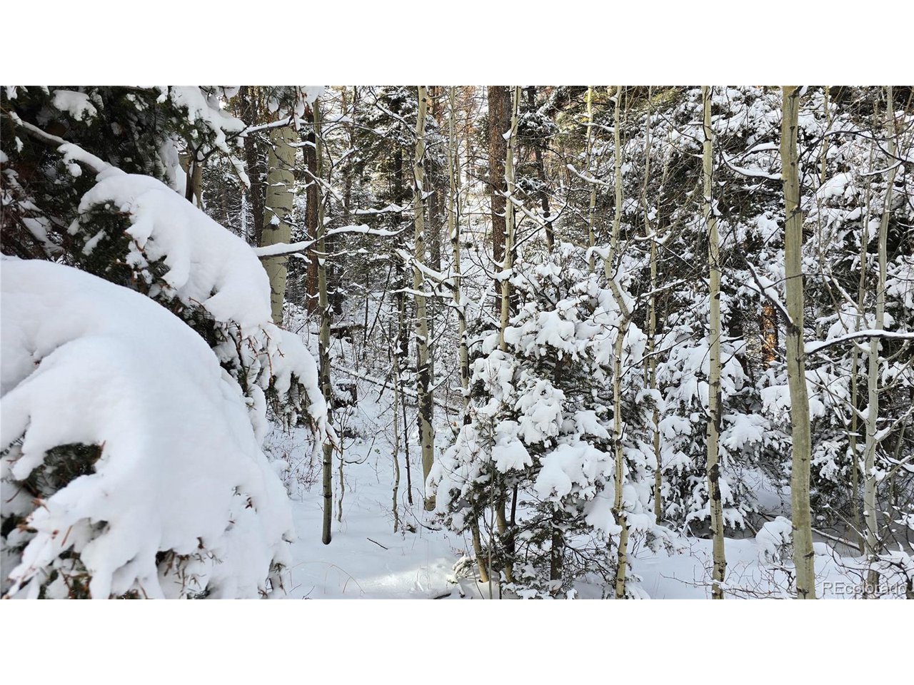 5540 Joy Road Fort Garland, CO 81133 - Photo 8 of 18 a black and white photo of a house