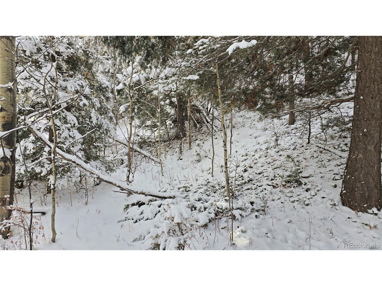 5540 Joy Road Fort Garland, CO 81133 - Photo 10 of 18 a black and white photo of a house