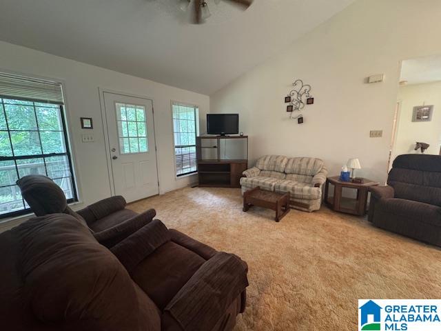 4379 Wellington Road Jacksonville, AL 36265 - Photo 17 of 98 Gallery Image 17