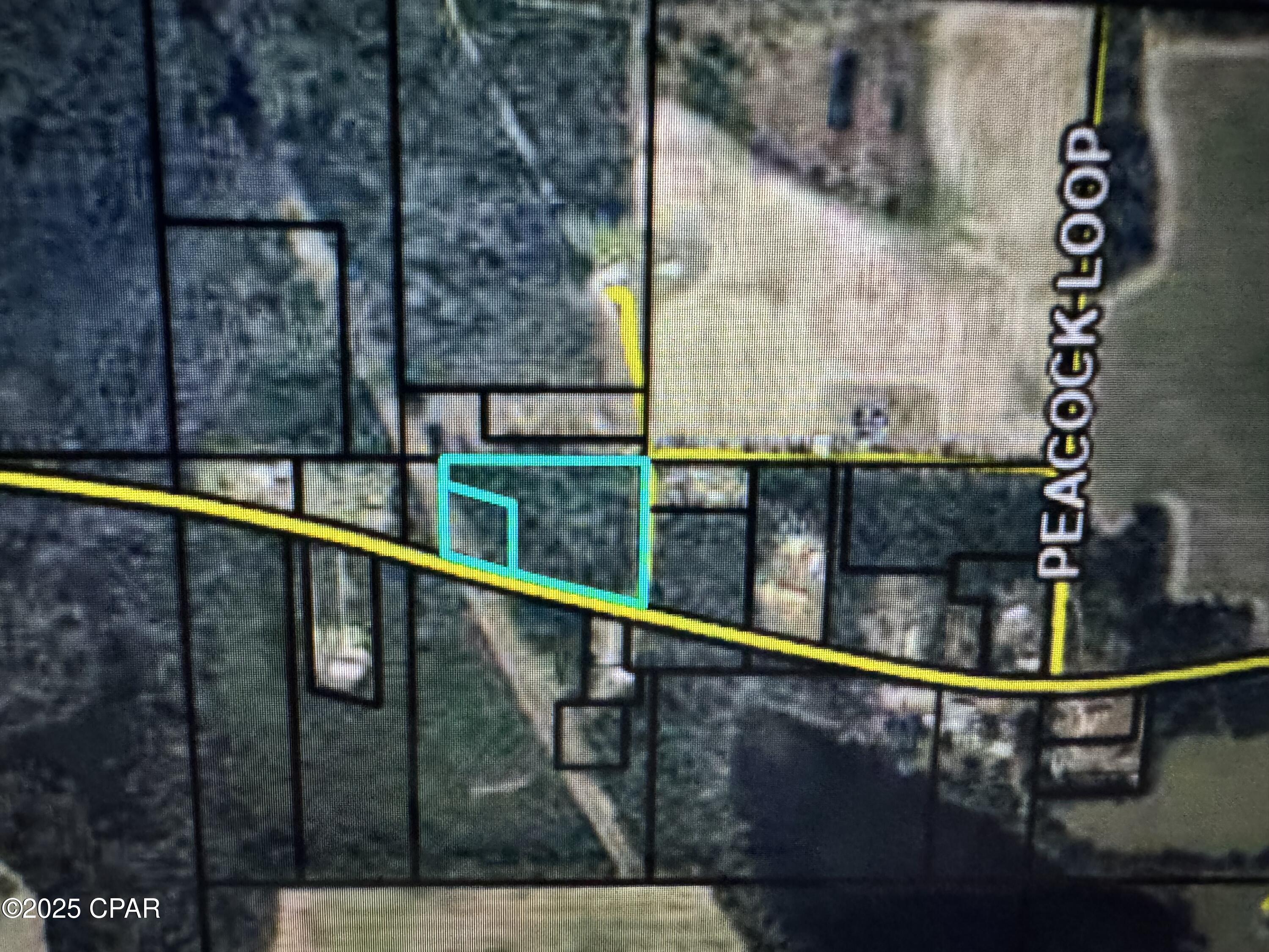 6834 Butler Road Grand Ridge, FL 32442 - Photo 3 of 9