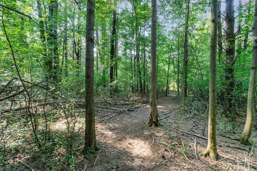 13748 Dice Road Hemlock, MI 48626 - Photo 26 of 30