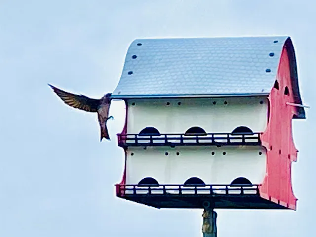 $389,000 | 794 Marlin Street, Bayou Vista, TX 77563