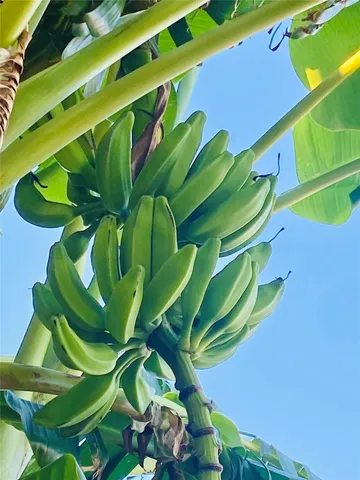 $389,000 | 794 Marlin Street, Bayou Vista, TX 77563