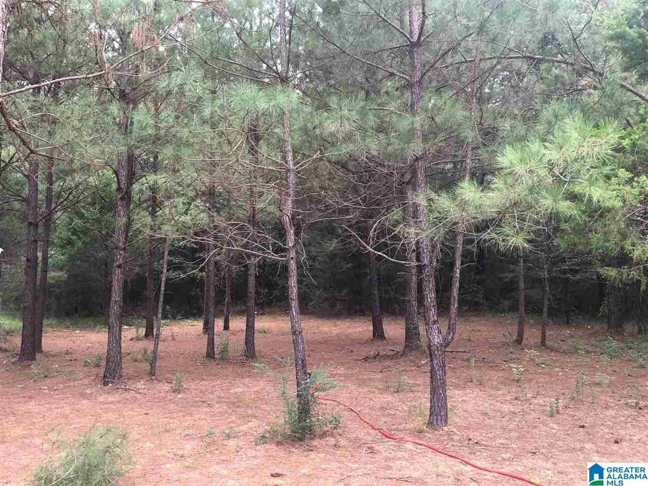 103 Cobb Road Munford, AL 36268 - Photo 26 of 32