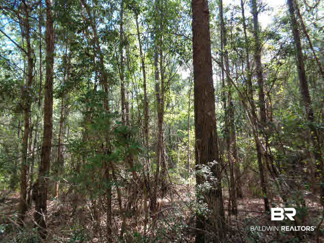 0 Blair Road Brewton, AL 36426 - Photo 3 of 5