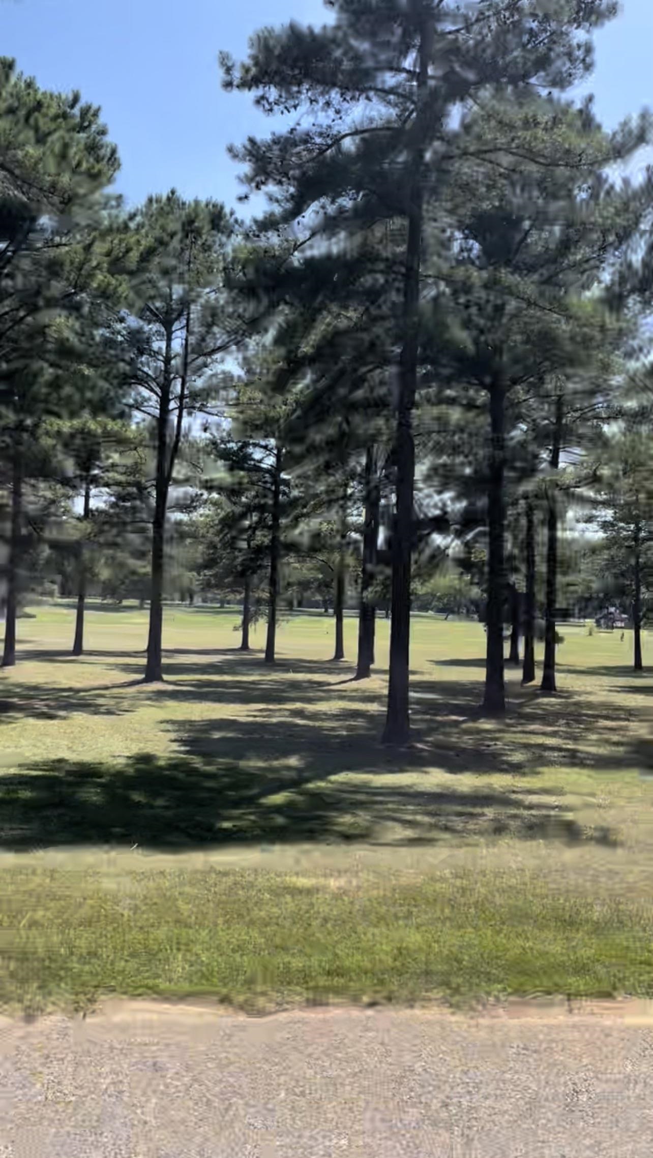 Lot 45 Broken Arrow Trail Perry, GA 31069 - Photo 2 of 3
