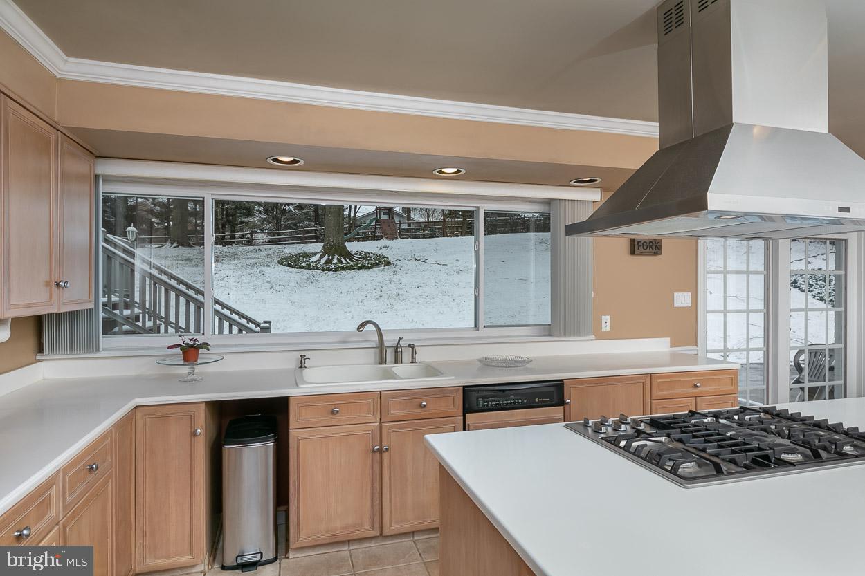 2315 Pot Spring Road Lutherville-Timonium, MD 21093 - Photo 4 of 55 Kitchen has great view of the back yard!