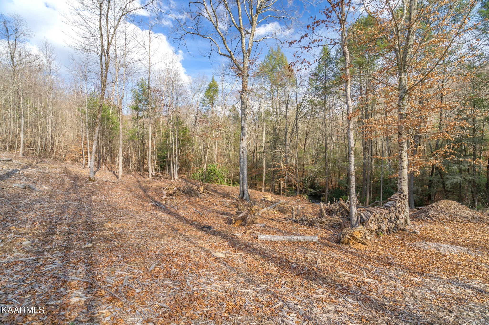0 Mountain Road Oliver Springs, TN 37840 - Photo 5 of 29 Gallery Image 5