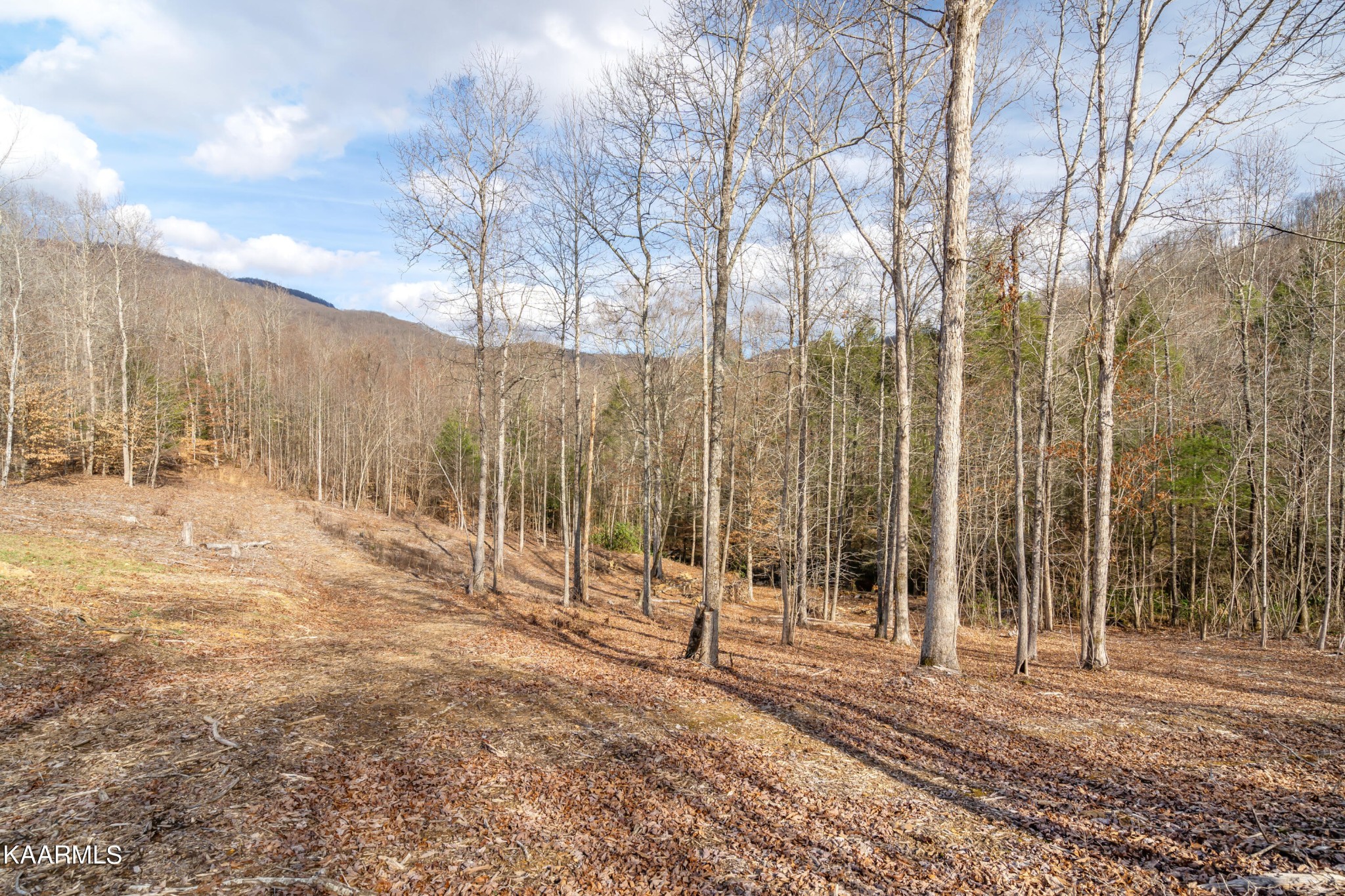 0 Mountain Road Oliver Springs, TN 37840 - Photo 7 of 29 Gallery Image 7