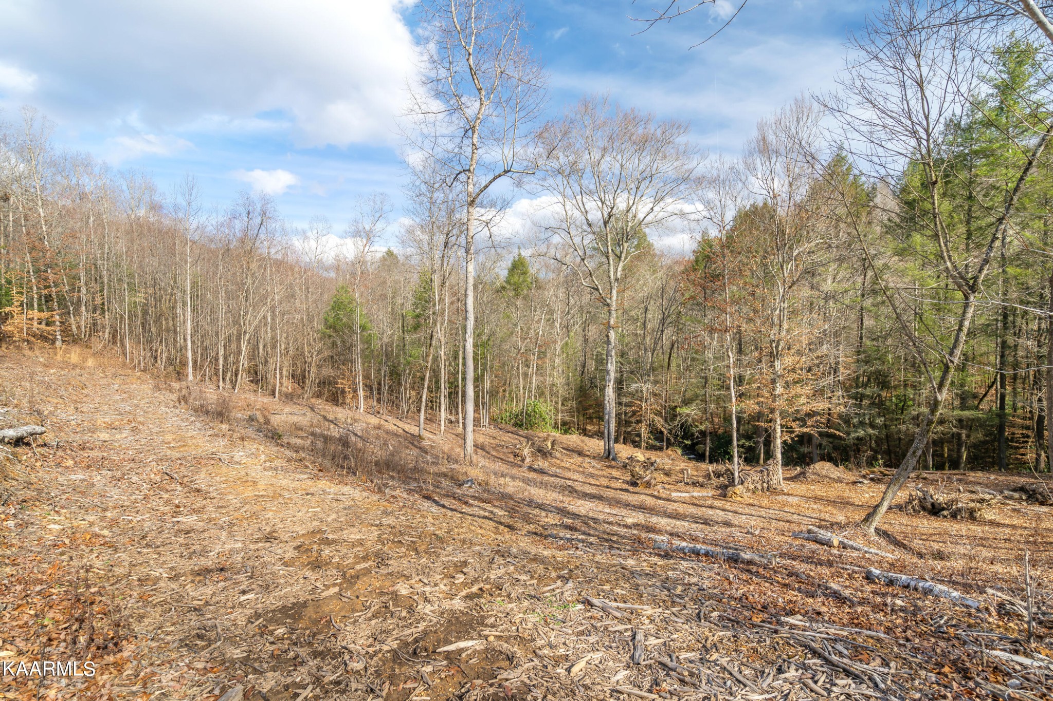 0 Mountain Road Oliver Springs, TN 37840 - Photo 8 of 29 Gallery Image 8