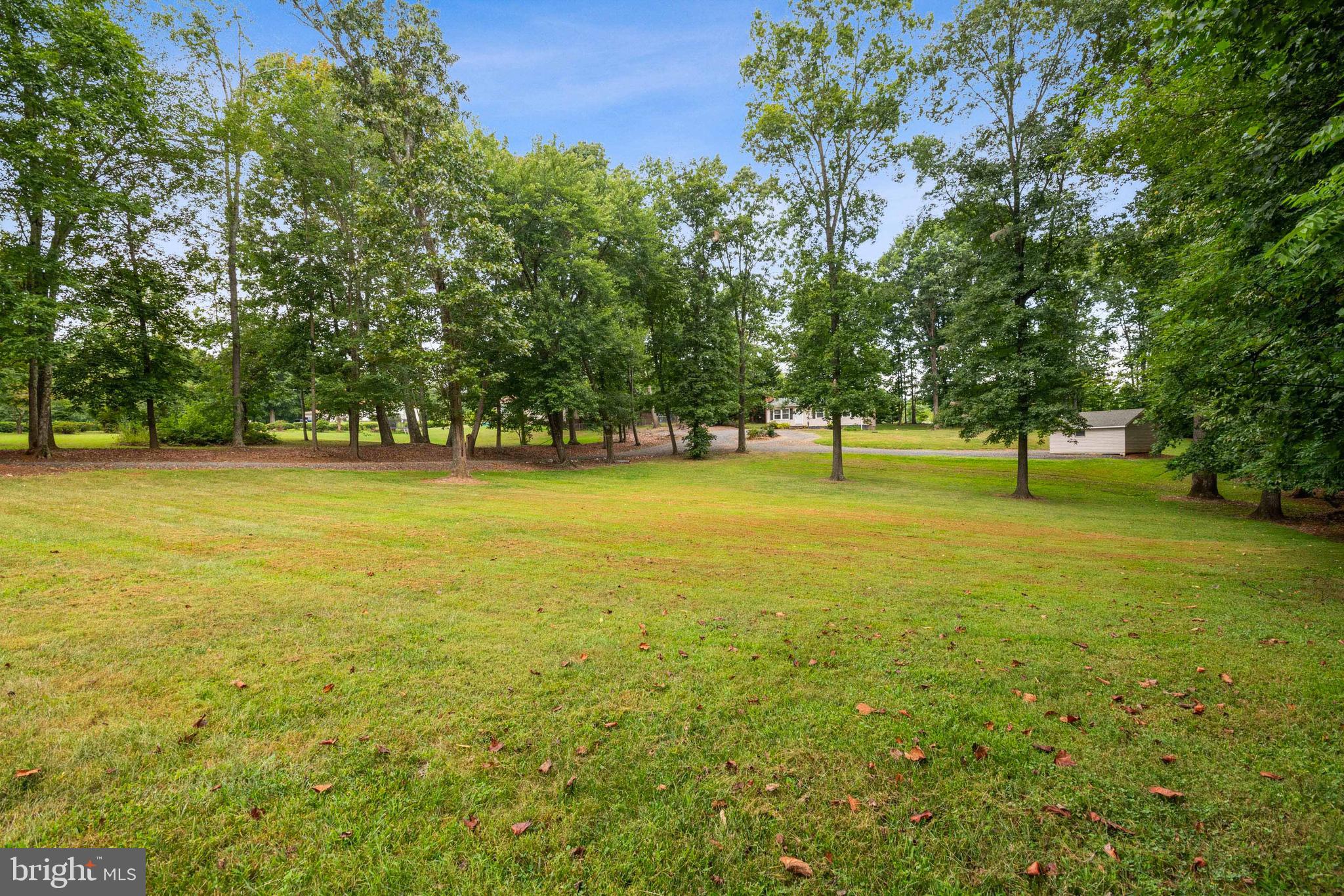 10728 Settle School Road Rixeyville, VA 22737 - Photo 5 of 26