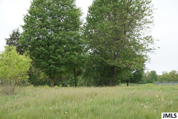 9501 Ferris Road Springport, MI 49284 - Photo 3 of 21 Photo 3