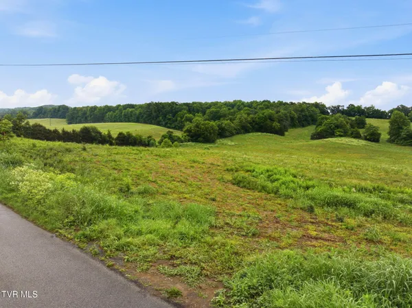 $300,000 | 0 Paynetown Road, Unit 5, Telford, TN 37690