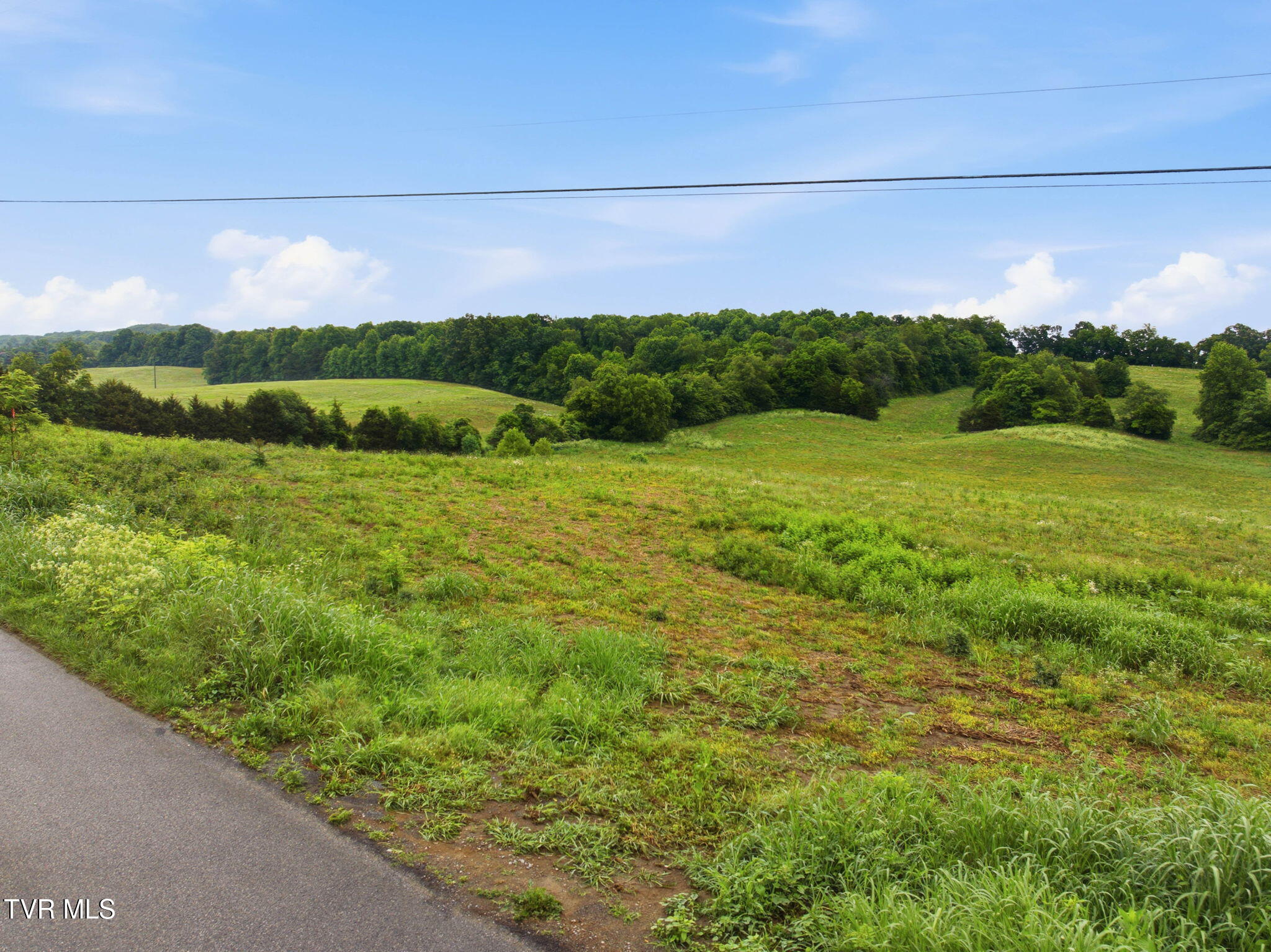 0 Paynetown Road, Unit 3 Telford, TN 37690 - Photo 10 of 16 10-web-or-mls-286 Paynetown Rd-3