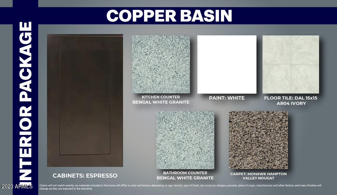 5119 East Emery Road San Tan Valley, AZ 85143 - Photo 8 of 10 Copper Basin Interior Package