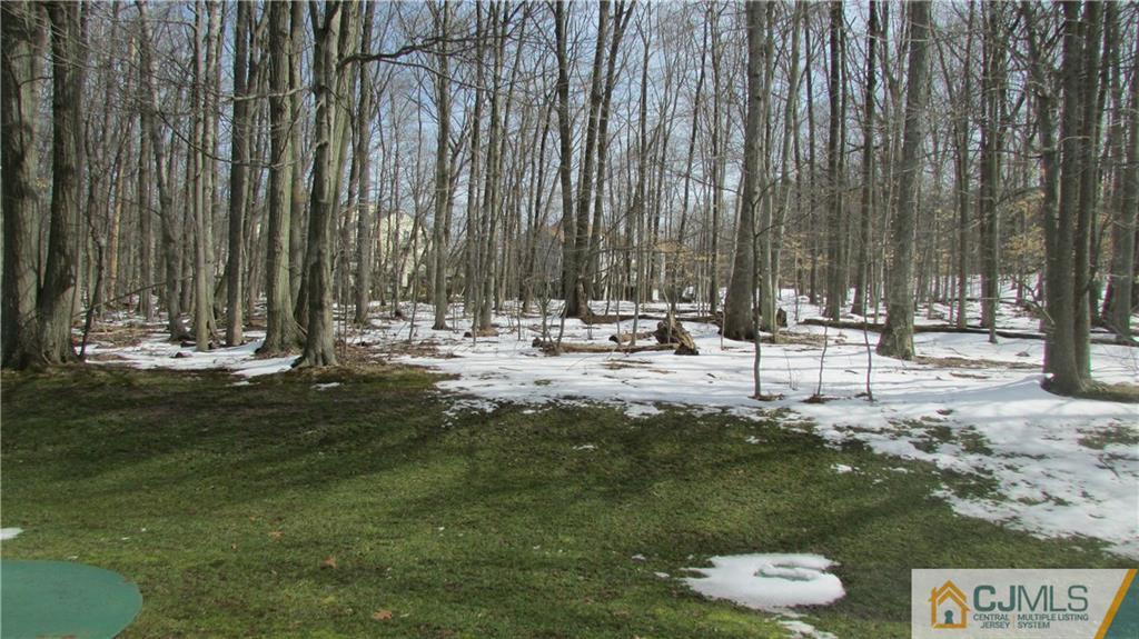 2407 Timber Oaks Road, Unit 2407 Edison, NJ 08820 - Photo 2 of 12 a swimming pool with some trees