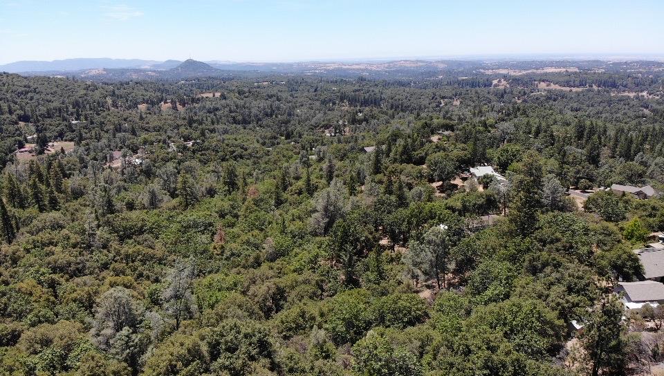 0 Bowman Road Pine Grove, CA 95665 - Photo 27 of 30