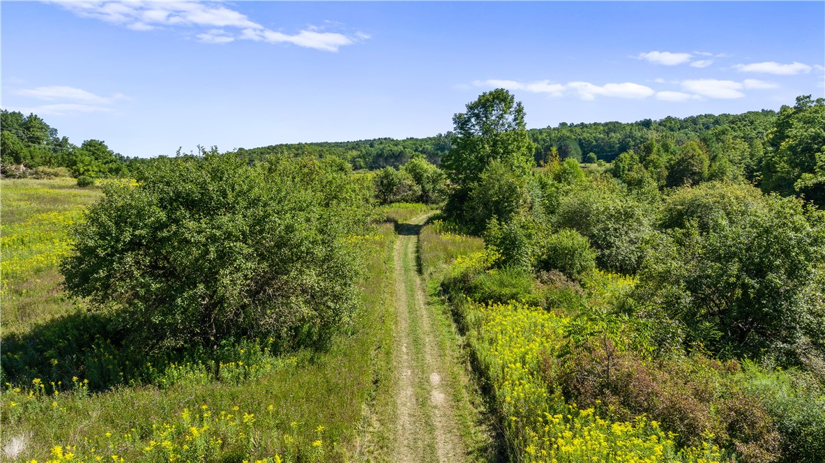 6441 Montanye Road Bristol, NY 14424 - Photo 19 of 33