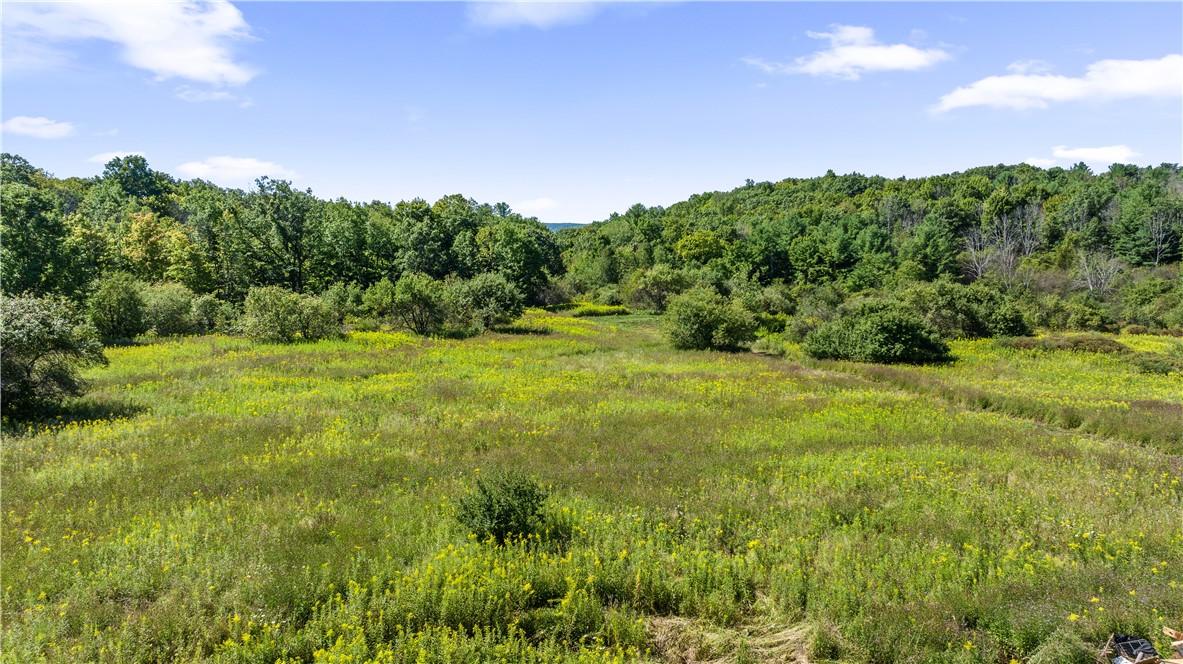 6441 Montanye Road Bristol, NY 14424 - Photo 20 of 33