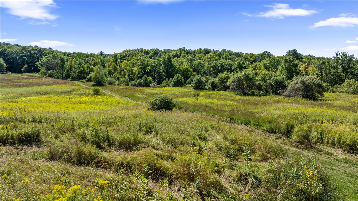 6441 Montanye Road Bristol, NY 14424 - Photo 21 of 33