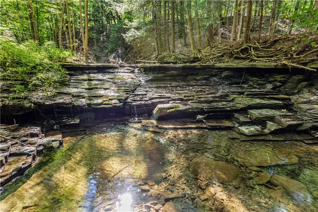 $370,000 | 6441 Montanye Road, Bristol, NY 14424