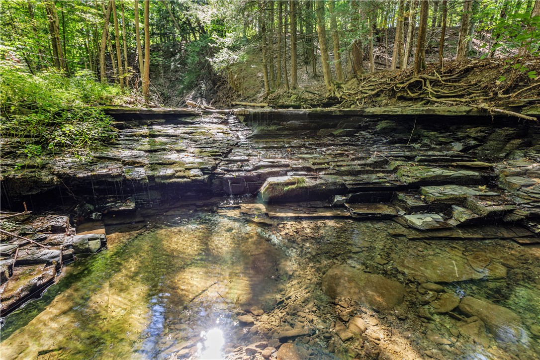 6441 Montanye Road Bristol, NY 14424 - Photo 25 of 33