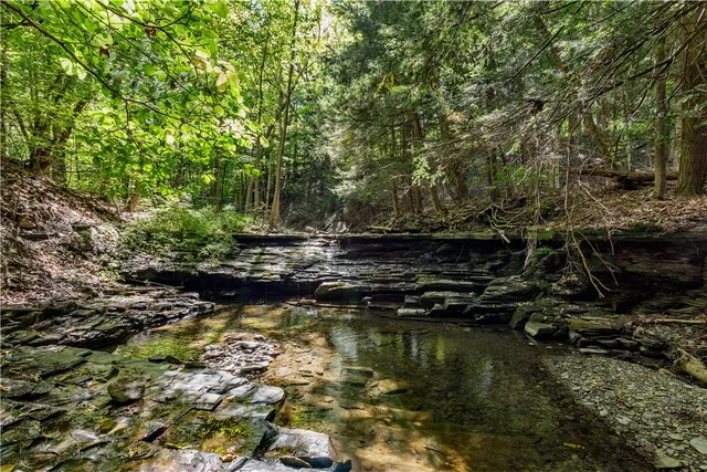 $370,000 | 6441 Montanye Road, Bristol, NY 14424