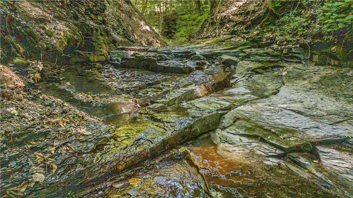 6441 Montanye Road Bristol, NY 14424 - Photo 28 of 33