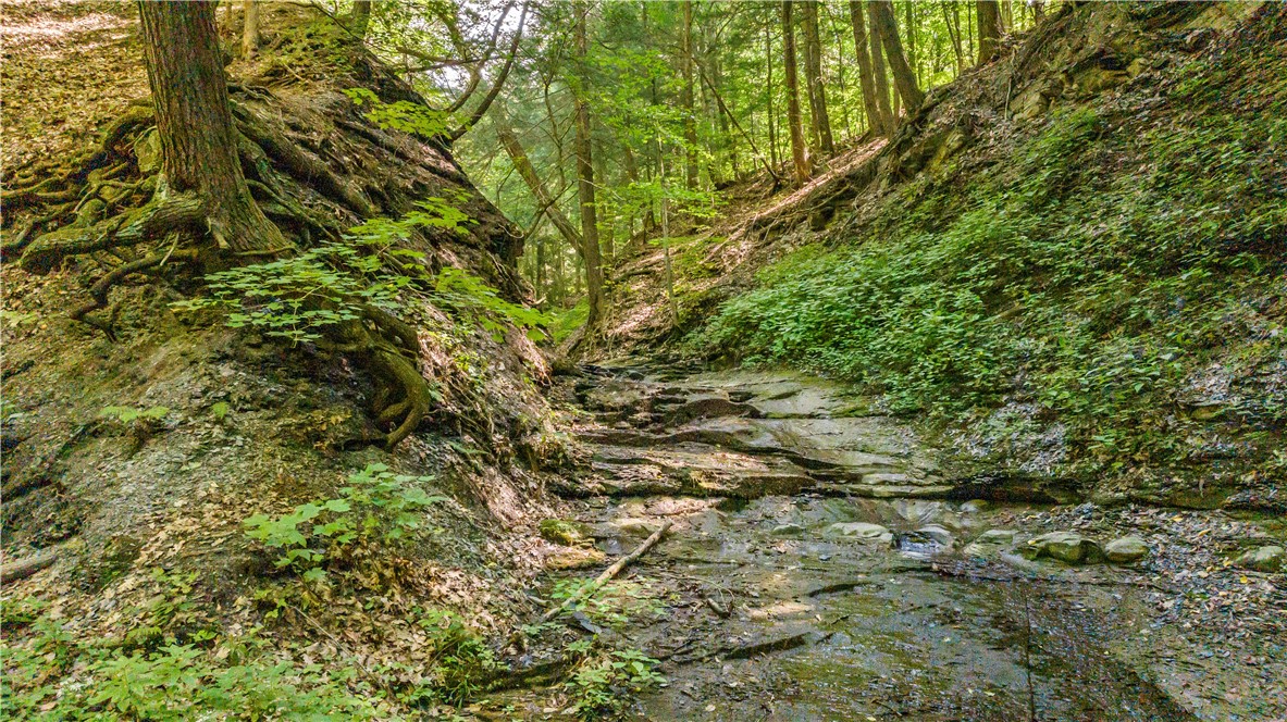 6441 Montanye Road Bristol, NY 14424 - Photo 29 of 33