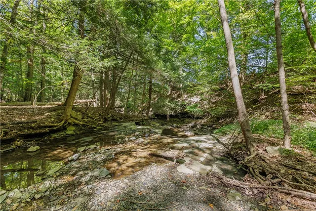 $370,000 | 6441 Montanye Road, Bristol, NY 14424