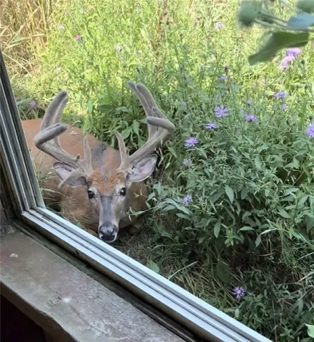 $370,000 | 6441 Montanye Road, Bristol, NY 14424