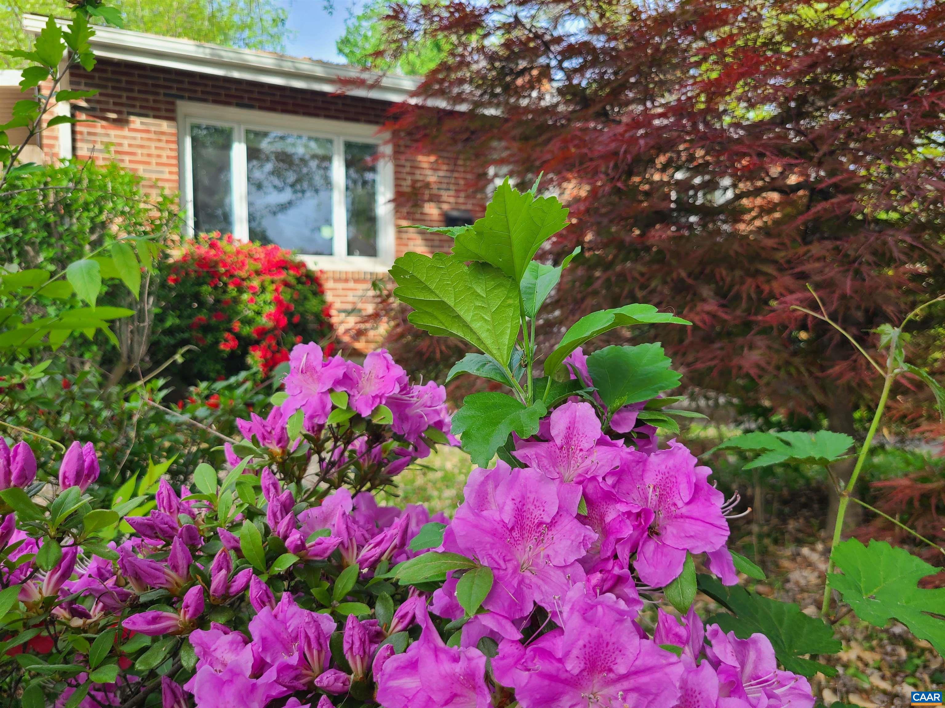 2600 Willard Drive Charlottesville, VA 22903 - Photo 30 of 47 a view of a flower in a yard