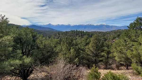 a view of a city with lush green forest