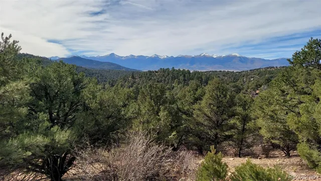 a view of a city with lush green forest