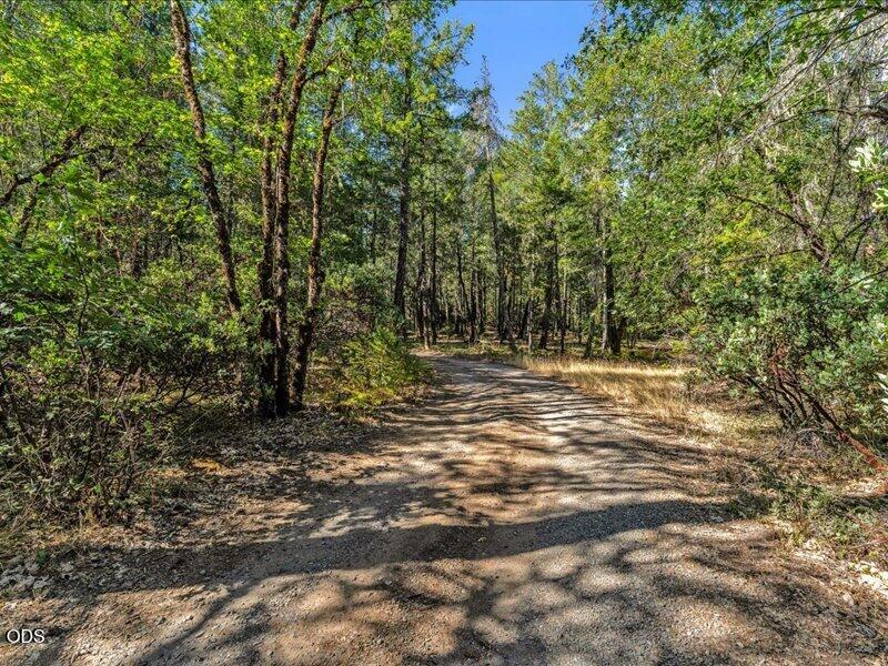450 Brown Road O'Brien, OR 97534 - Photo 11 of 21 Gallery Image 11