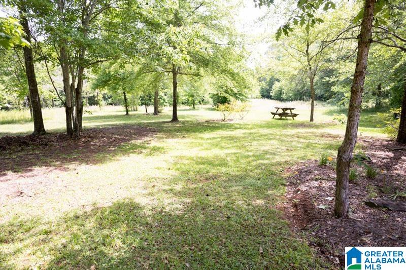 1081 County Road 684 Roanoke, AL 36274 - Photo 18 of 26