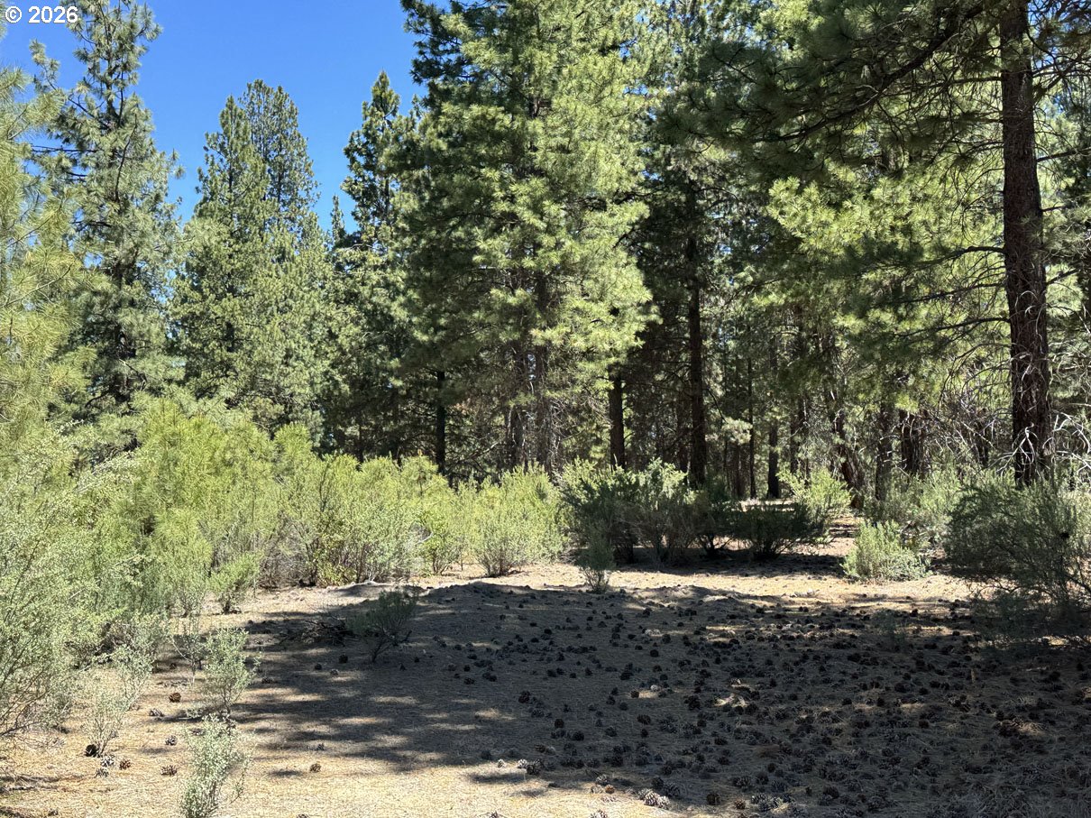 Friendship Drive, Unit 15 Chiloquin, OR 97624 - Photo 11 of 41