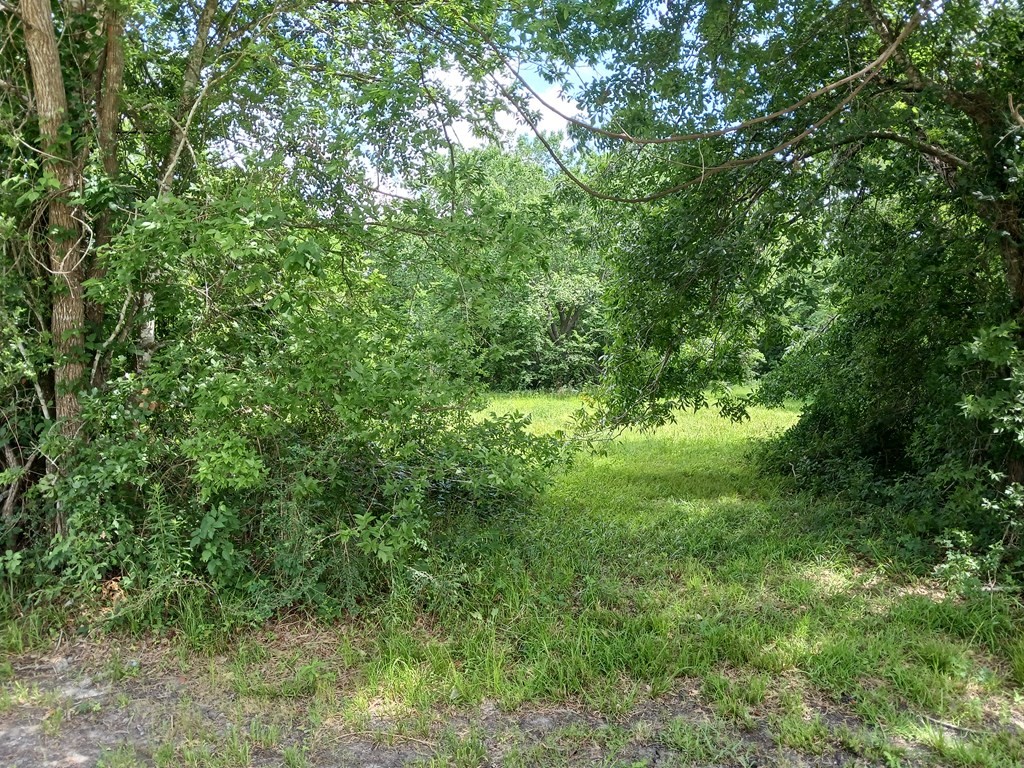 0 Cahill Road Angleton, TX 77515 - Photo 4 of 8