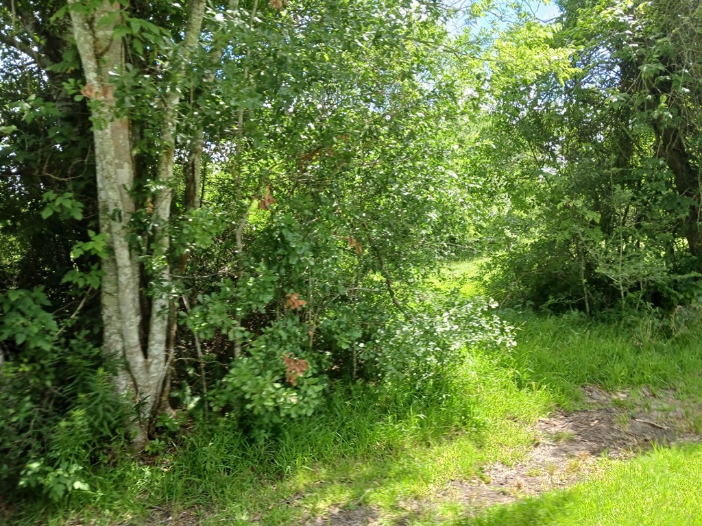 0 Cahill Road Angleton, TX 77515 - Photo 5 of 8